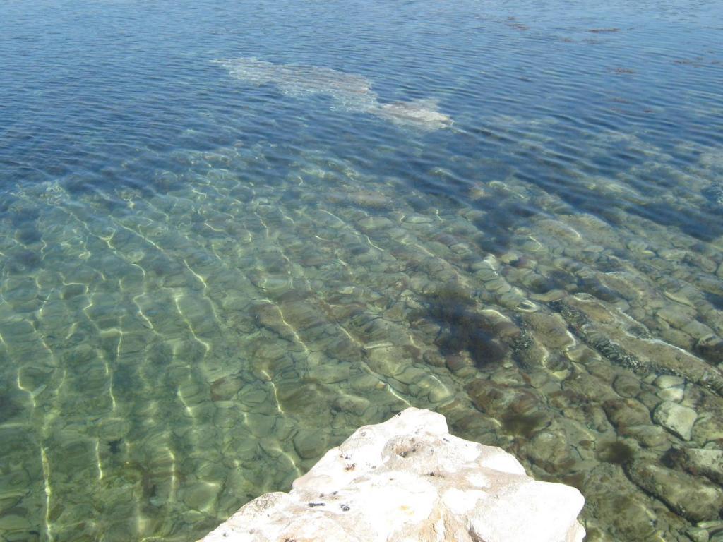 Spert Umag